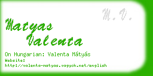 matyas valenta business card